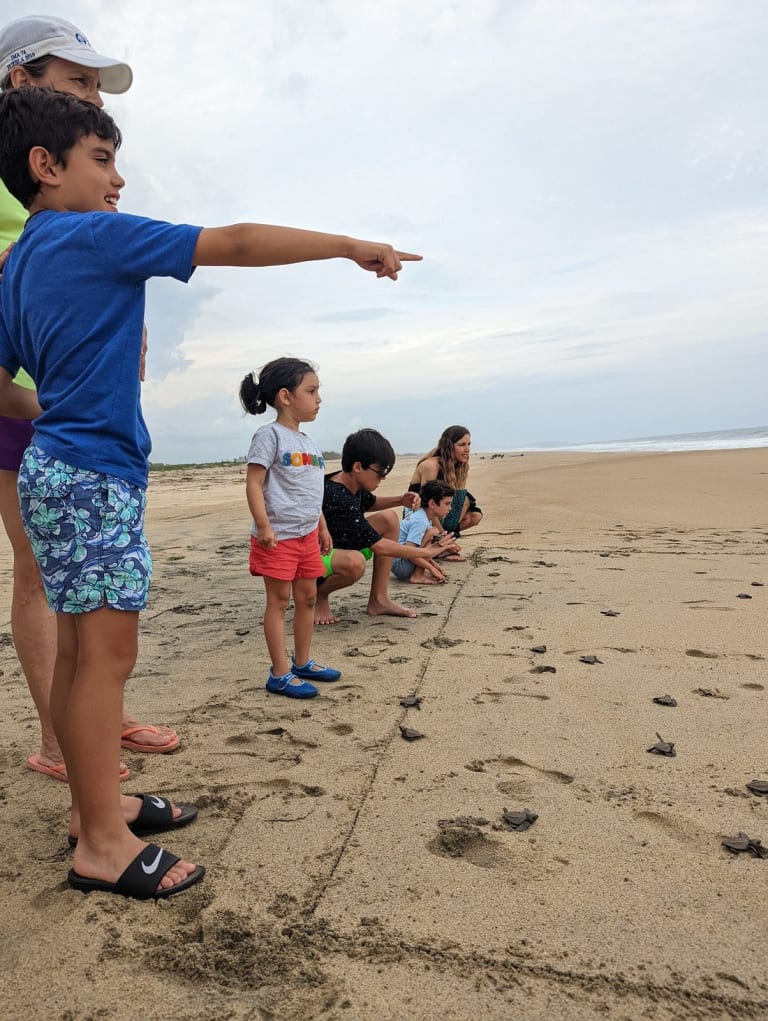 children releasing turtles