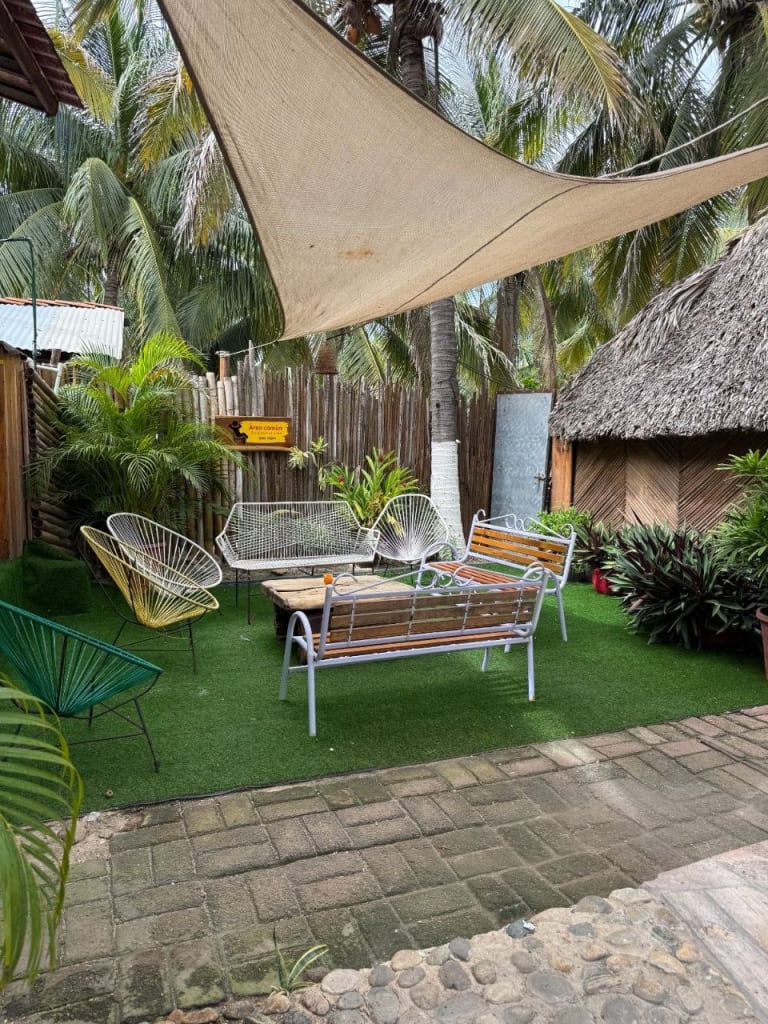 Garden lounge area with seating and palm trees