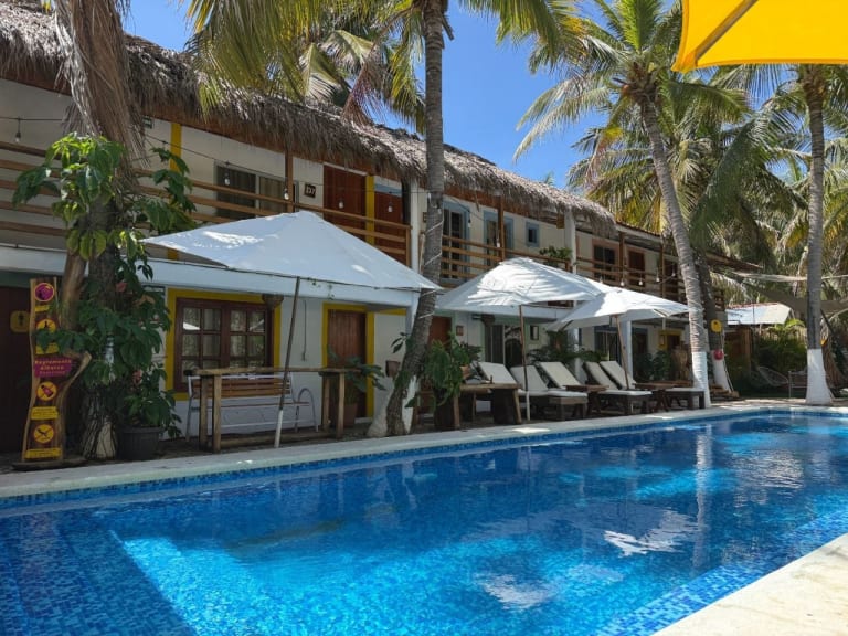 Pool area with sunbeds and palm trees