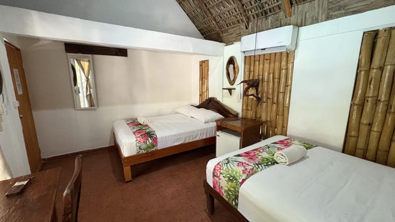 Twin room with traditional palapa ceiling