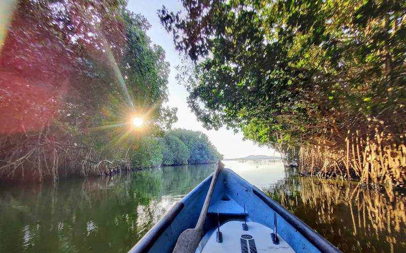 Boat gliding through mangrove channels at golden hour during a Chacahua lagoon tour