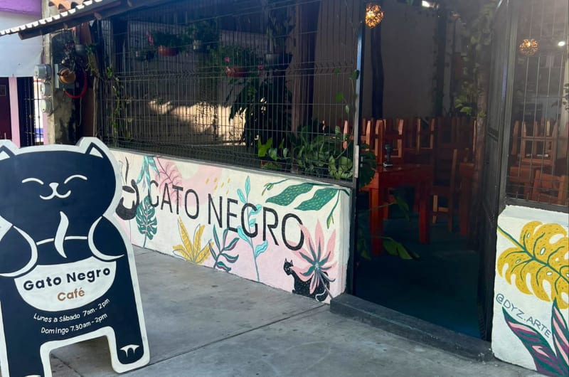 Gato Negro - Café, Restaurant, Wifi Starlink — photo 1