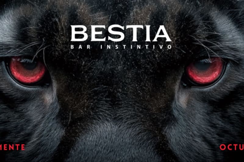 BESTIA | Bar Instintivo — photo 2