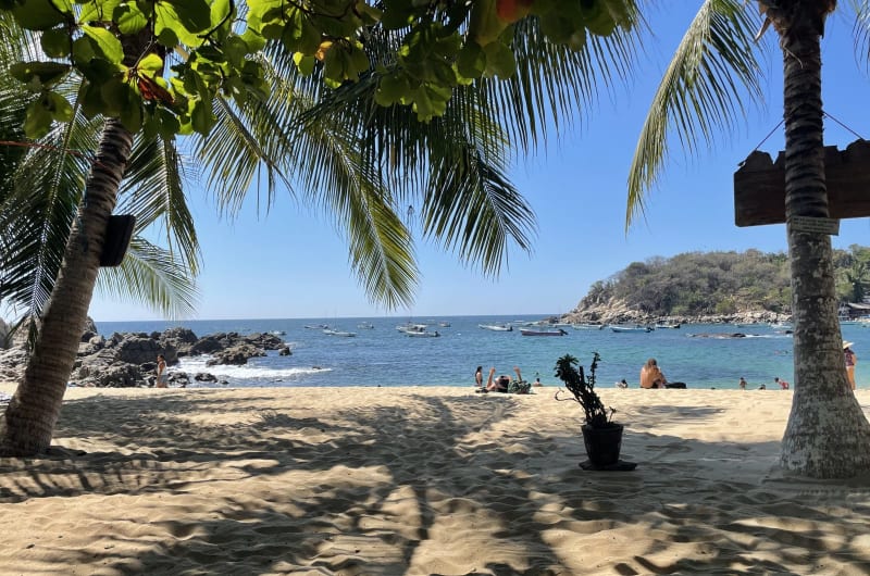 Restaurante Bar Manzanillo Beach — photo 3