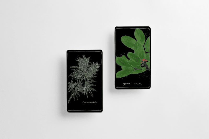 Susana Lucyk. Medicina natural — photo 1