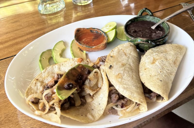 El tololote — photo 2
