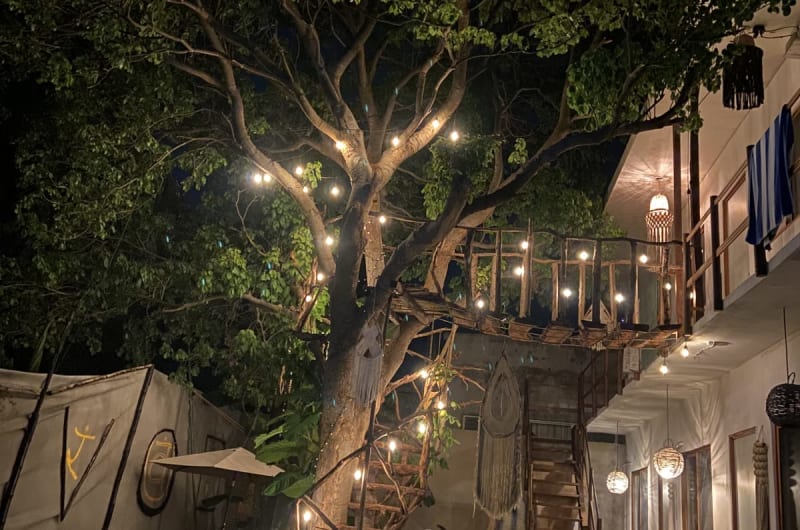 The Pool tree house — photo 1