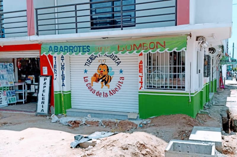 Tienda Naturista "La casa de la Abejita" — photo 1