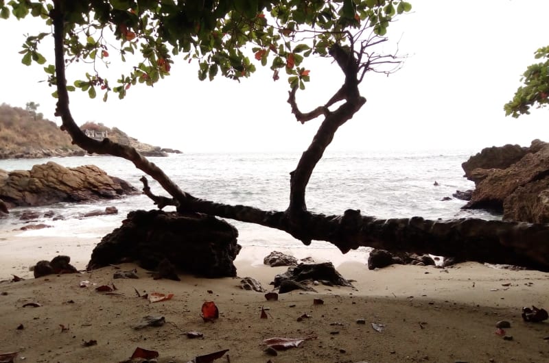 Bahia de los Poetas — photo 3
