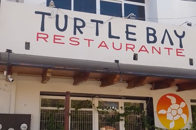 Turtle Bay — photo 3