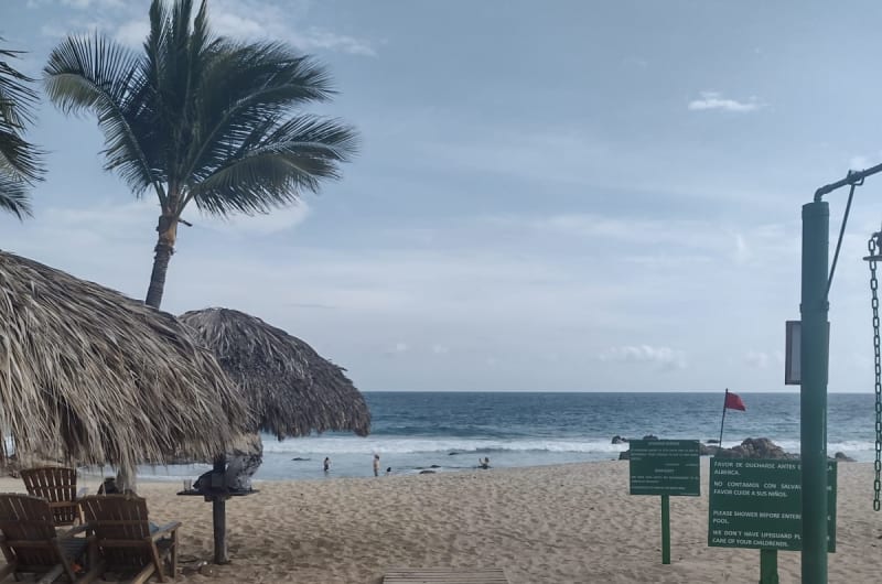 Coconuts Beach Club — photo 2