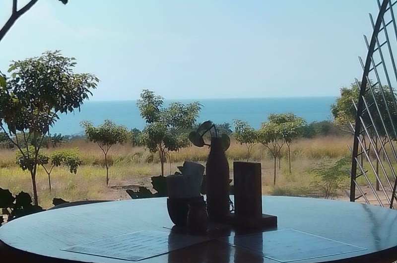 Dulce Tierra Puerto Angelito — photo 1