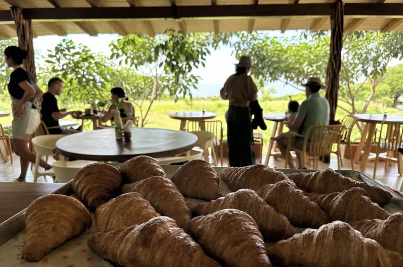 Dulce Tierra Puerto Angelito — photo 3