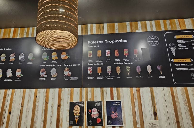 Palma negra — photo 3