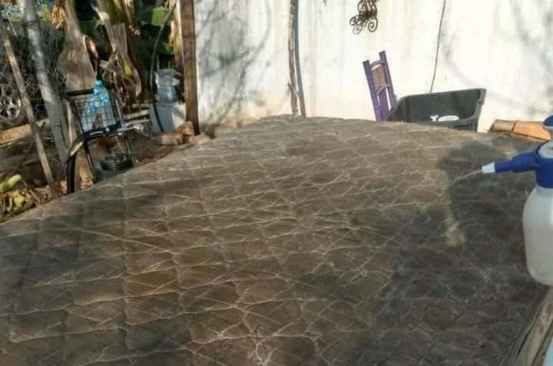 Alderete Clean Mattress Limpieza de colchones Puerto Escondido — photo 2