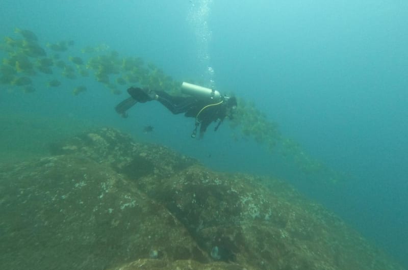 Deep Blue Dive Mexico — photo 2
