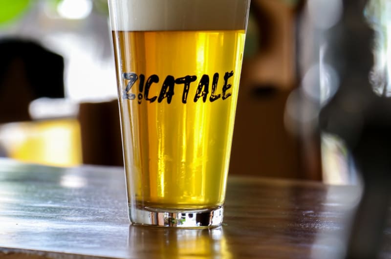 ZICATALE beer tasting by Utopía Microcervecería — photo 2