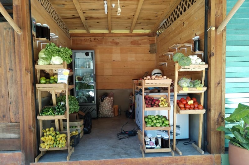 La cosecha del campo — photo 1