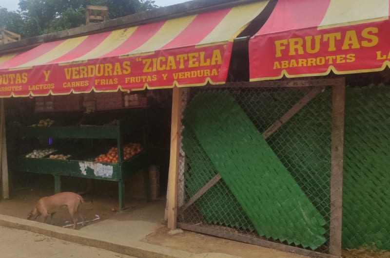 Frutas y verduras zicatela — photo 1
