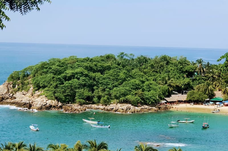 Pacific Scooter Rental ,Puerto Escondido — photo 1