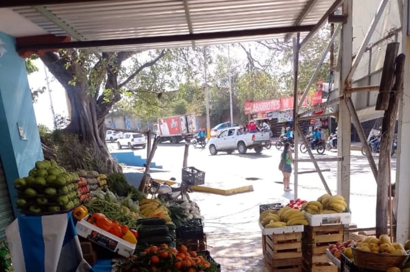Frutas y verduras GuSi — photo 2