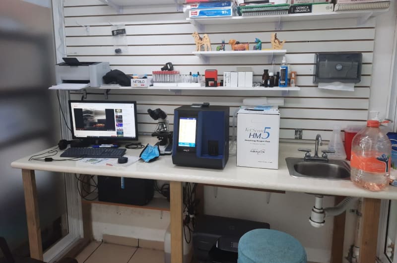 Zuvet Clinica Veterinaria — photo 3