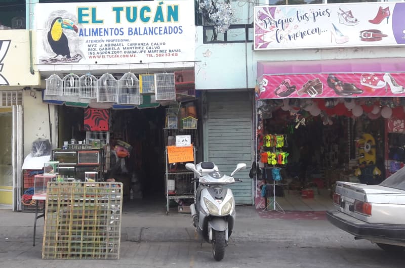 El Tucan — photo 1