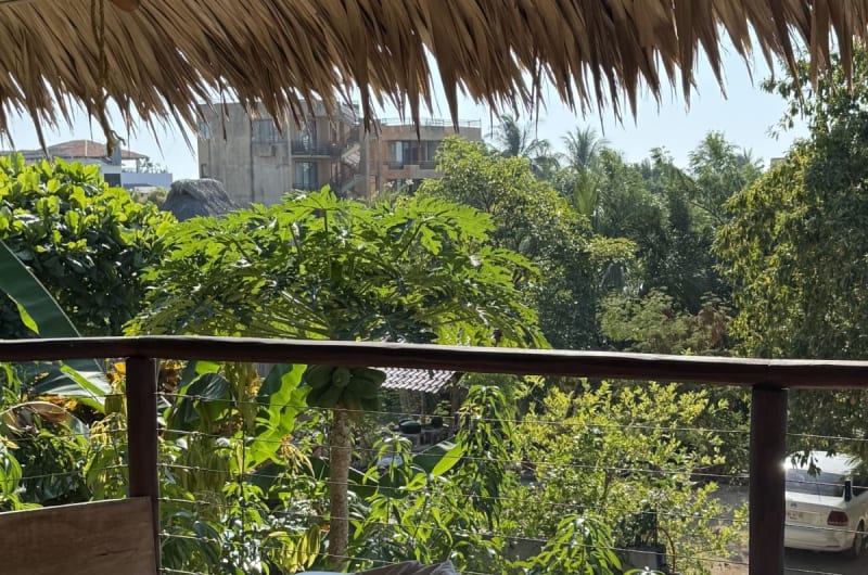 Mainimbu.spa — photo 2