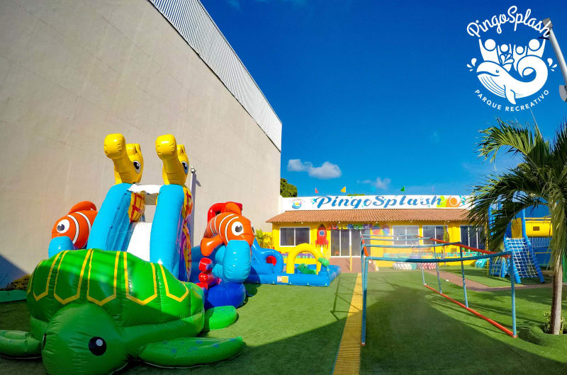 PingoSplash — photo 1