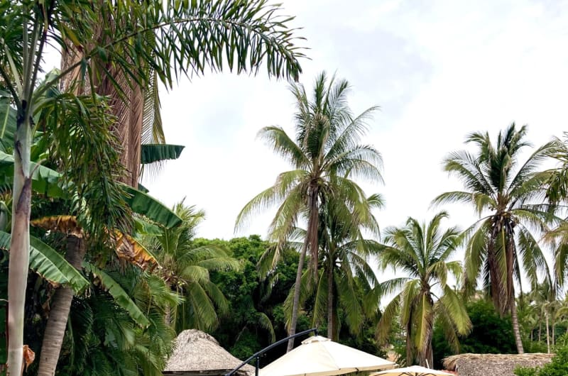 Ñou Kava Suites — photo 1