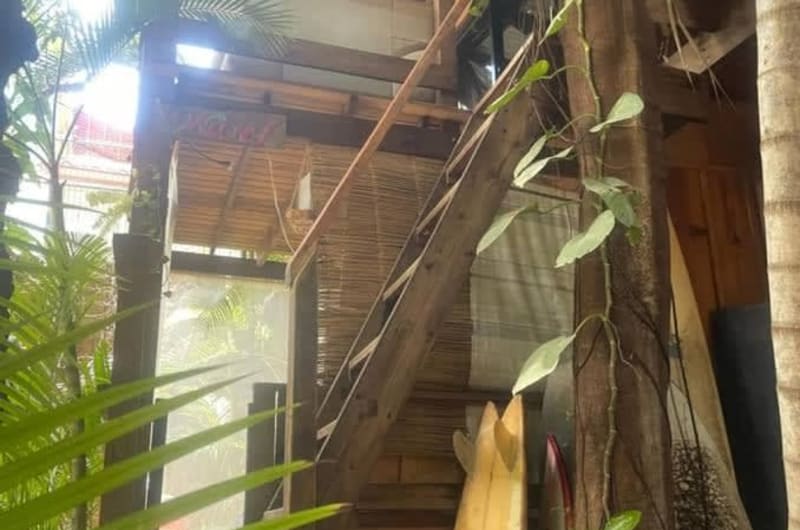 La Punta Surf House -Tree House Starlink - One-Bedroom Apartment — photo 2