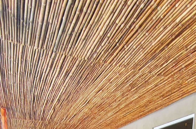 Brisas Acuario — photo 3