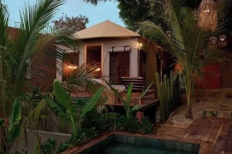 Luxury Glamping Tent in Puerto Escondido Jungle — photo 3