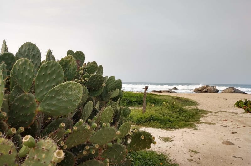 Beach House — photo 3