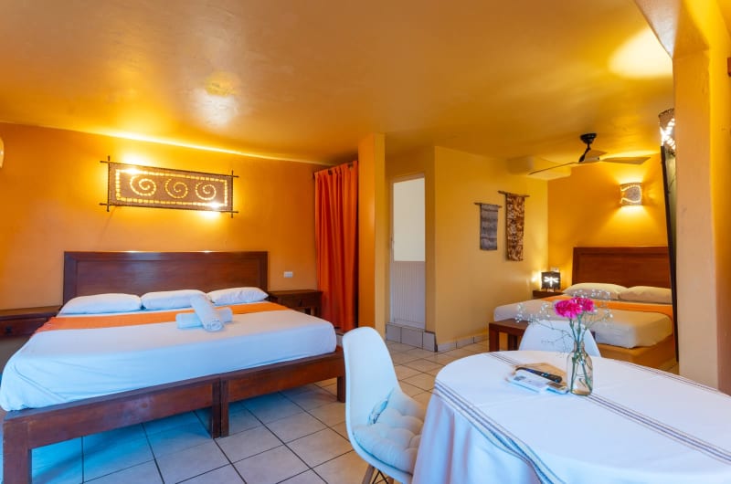 Beach Hotel Ines — photo 2