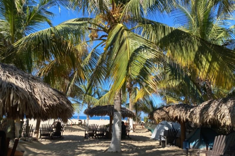 Buena Onda — photo 3