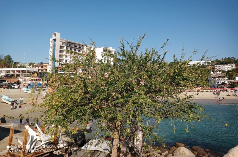 Hotel Roca Mar — photo 1
