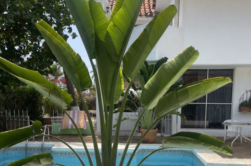 Cabana Blanca — photo 1
