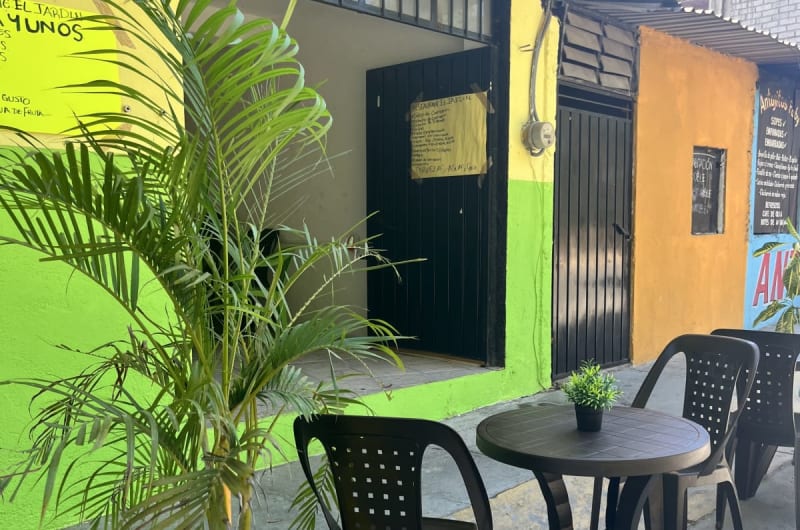 El jardín — photo 1