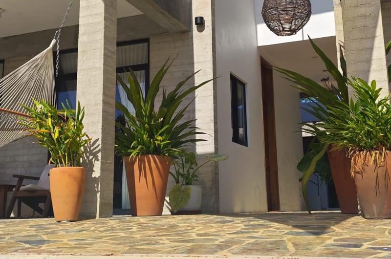 Casa Cosme — photo 3