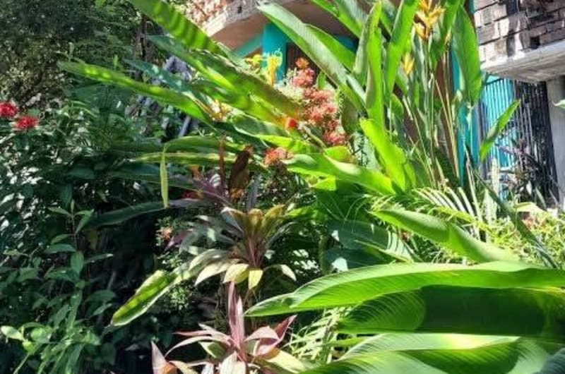 Beautiful property next to the lighthouse, perfect for nature lovers — photo 2