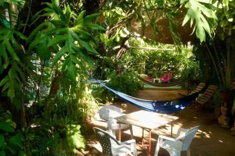 Jungle Palace by Santaella - Family Room with Garden View — photo 1