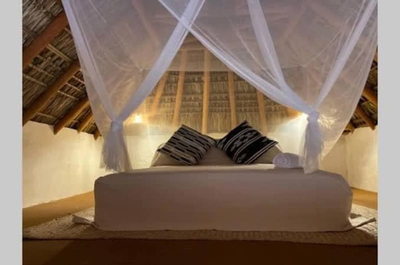 Casa Coconut - House — photo 1