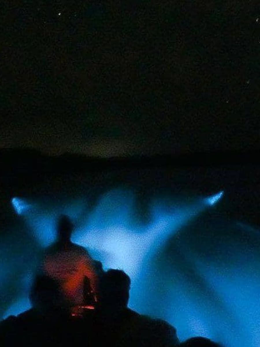 Vue depuis le bateau sur l'eau bioluminescente de la lagune de Manialtepec