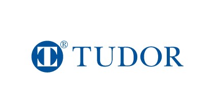 tudor investment corporation stock