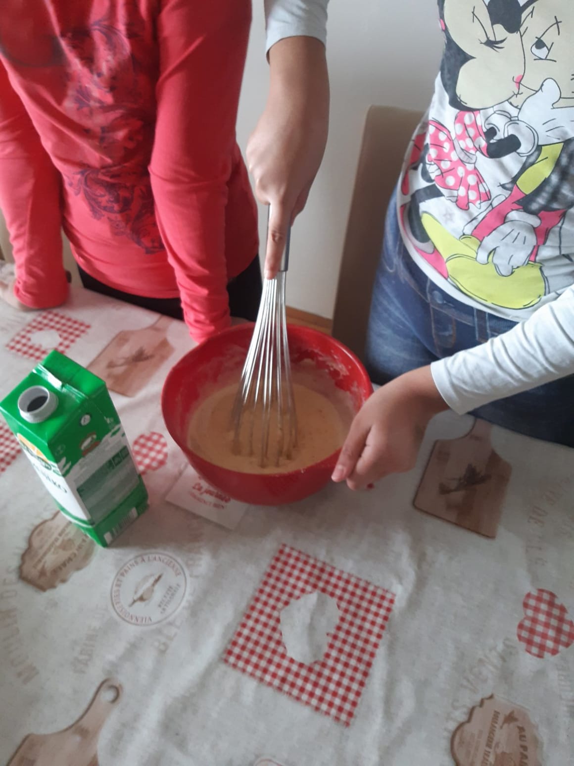 Aktivnosti u Belom Manastiru