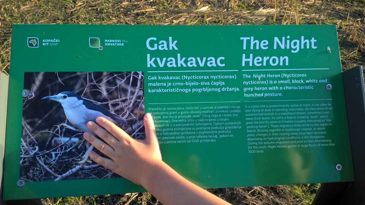 Izlet antunovačkih poludnevaca