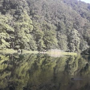 Izlet na Jankovac
