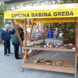 Na izložbi gljiva