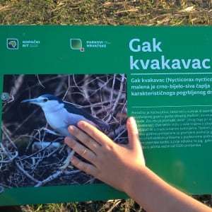 Izlet antunovačkih poludnevaca